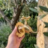 Robinet en Laiton Massif Fait Main